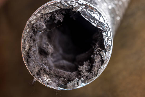 Best Emergency Air Duct Cleaning  in , IA